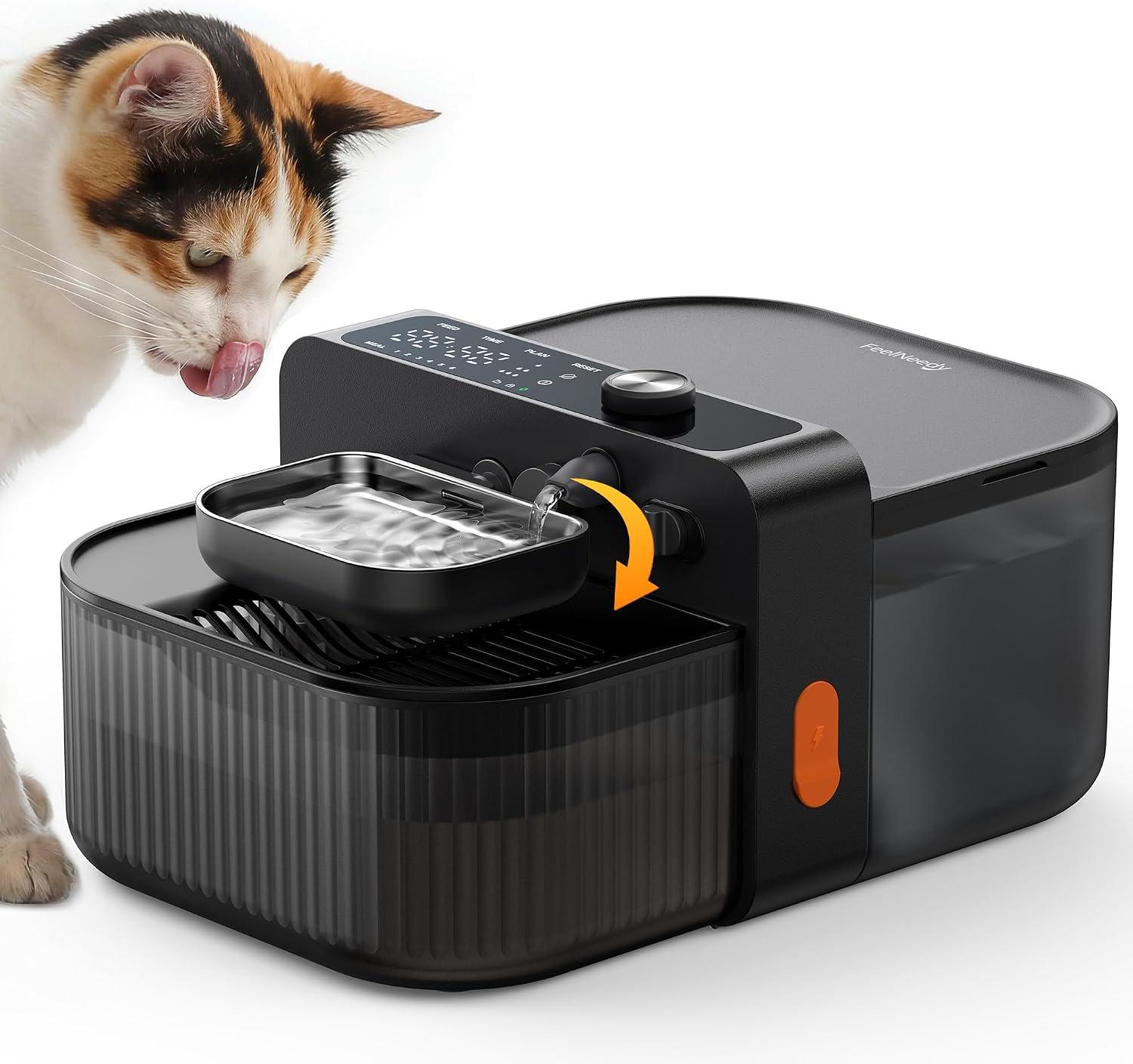 Trendy water dispensers for your pets